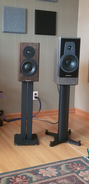 s40