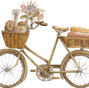 3863031-VELO