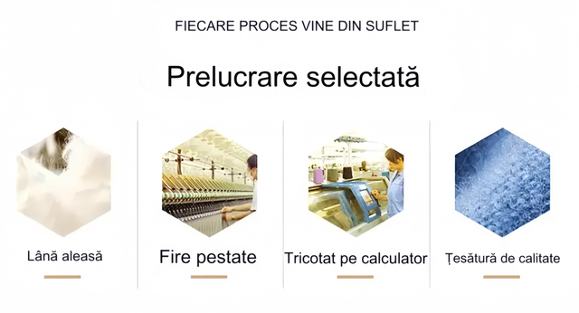 translated-image-ro-1