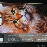 IMG-7734