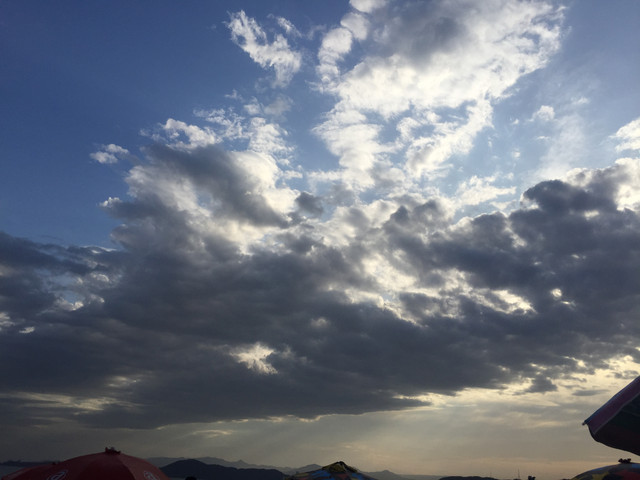 IMG-3976