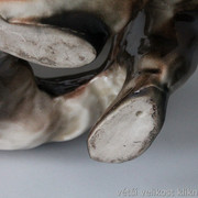 IMG-3387