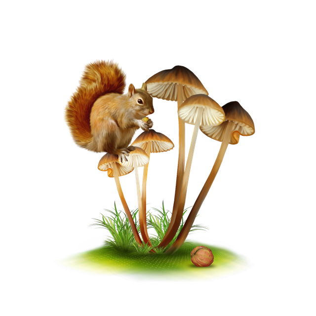 0-a510f-7ffcf49-orig