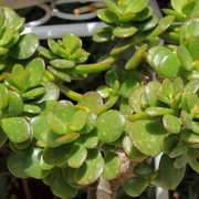 IMG-9027