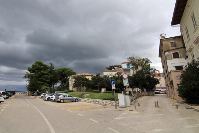 IMG-9736.jpg