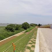 2011-07-03-36