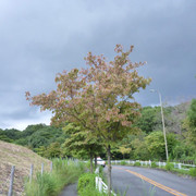 P1340966