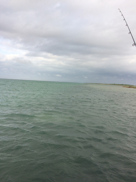 IMG 1336.jpg