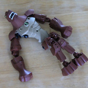 IMG-8719