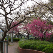 2010-04-19