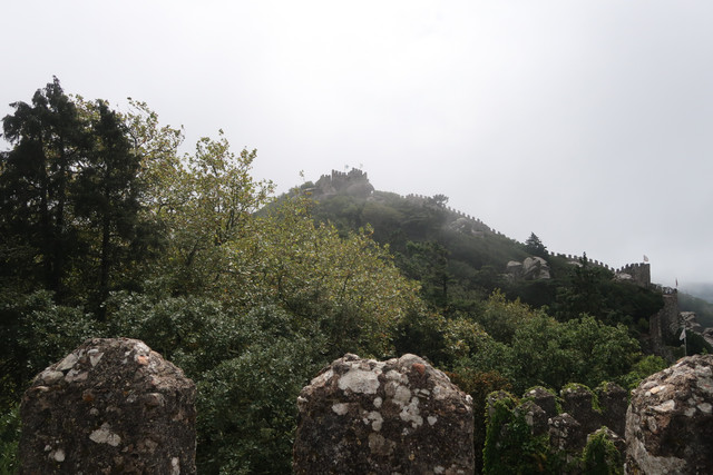 IMG 6734.jpg