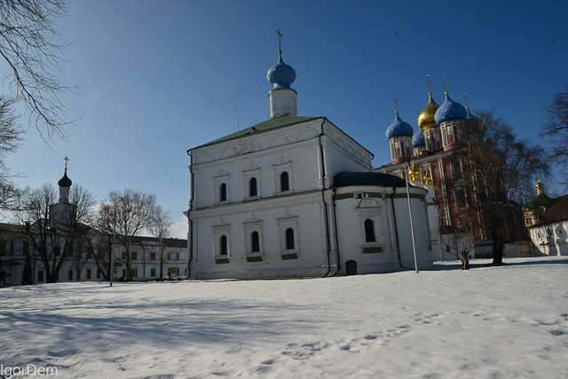 DSC8618.jpg