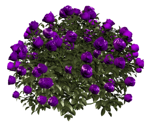 ewyEBn8.png