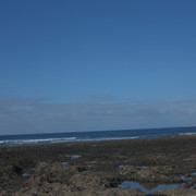 DSCF8470