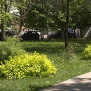 DSC3873