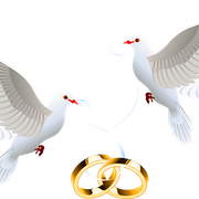palomas1