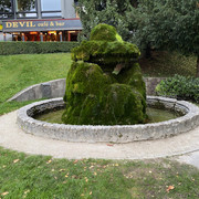 IMG-2796