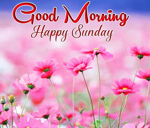 sunday-3