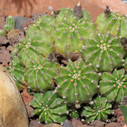 IMG-9025