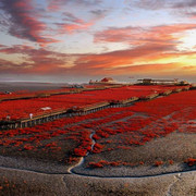 Panjin-China