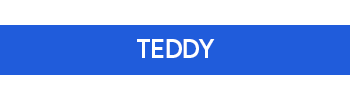 teddy.png