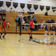 IMG-0233