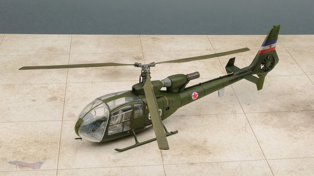 gazelle-06.jpg