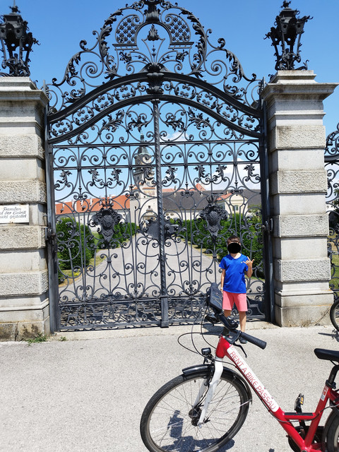 DIA 6. Sankt Pantaleon a Grein. Jueves 6 de julio - Ruta en bici del Danubio- julio 2023 (8)