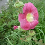 P1330304