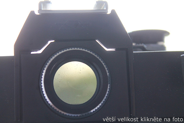 IMG-3066.jpg