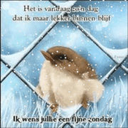 VJPDPCOov-QHQ.gif