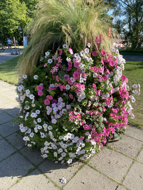 IMG-2344