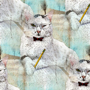 Math-Cats-by-rabidvegeta567