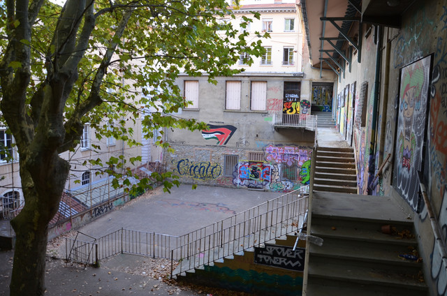DSC 1246