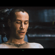 screenshot-387.png