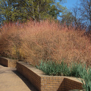 P5041506