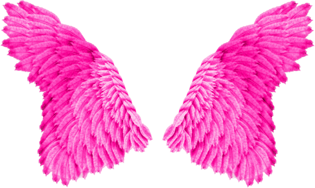 hotwings