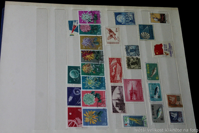 IMG-6953.jpg