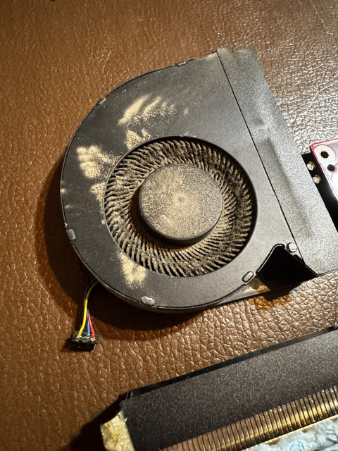 fan-polvo