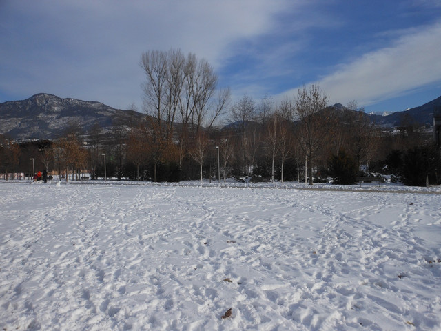 DSCN8807