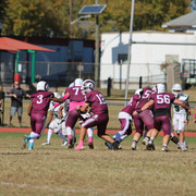 IMG-8156