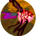 angeli1.png