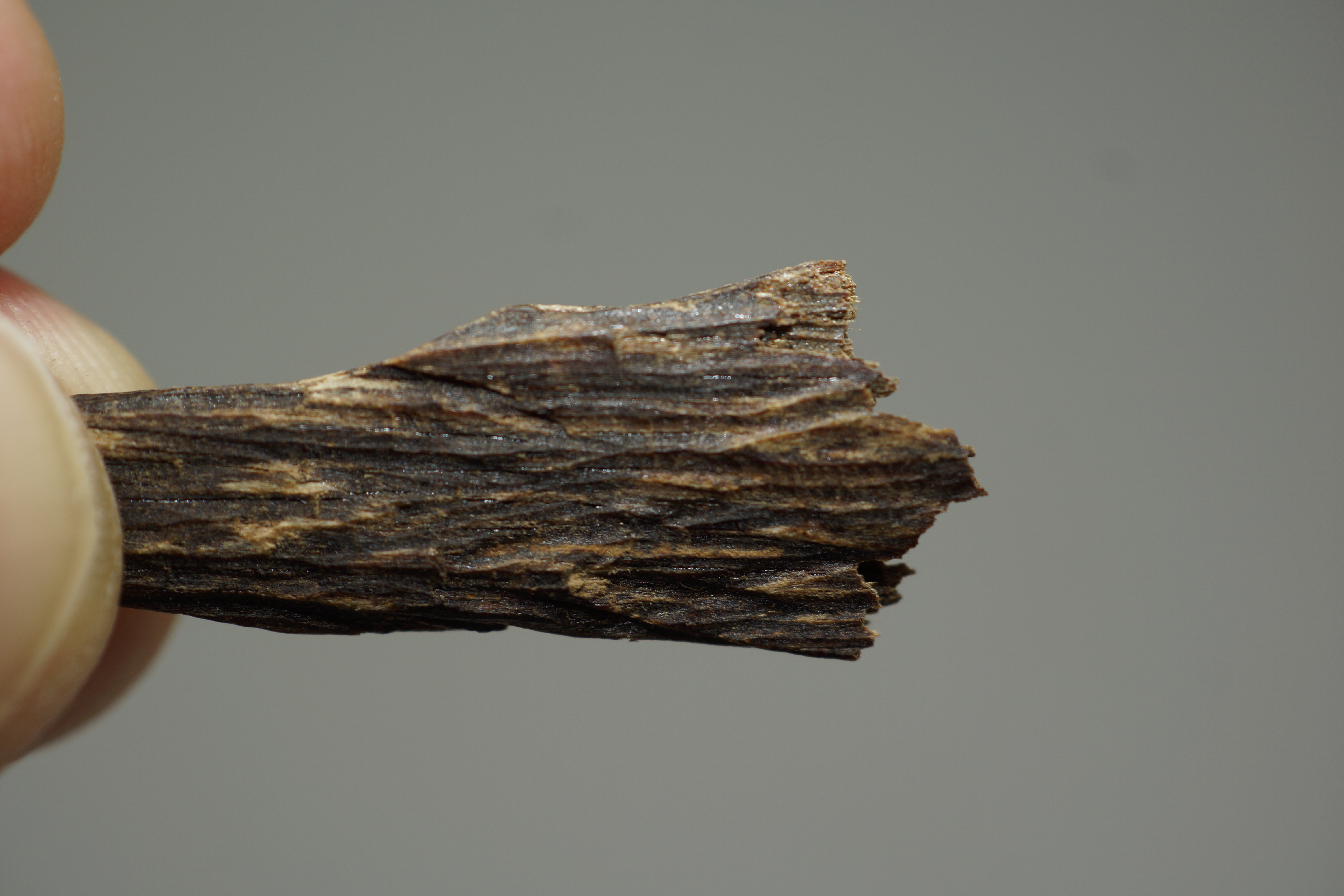 [Ouddict.com] Oud Photos