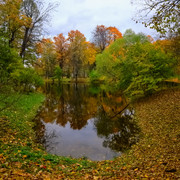 DSCF1811