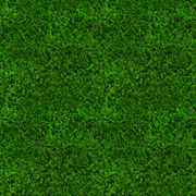d-Yx-QCwzthl2i