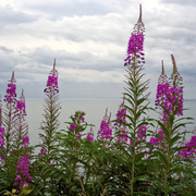 DSCF0207-1