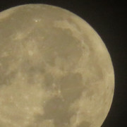 moon-024