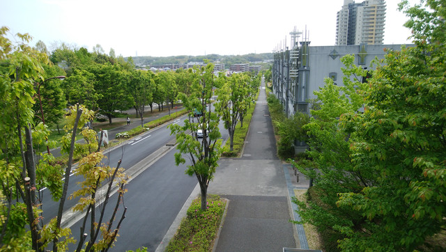 DSC-0004