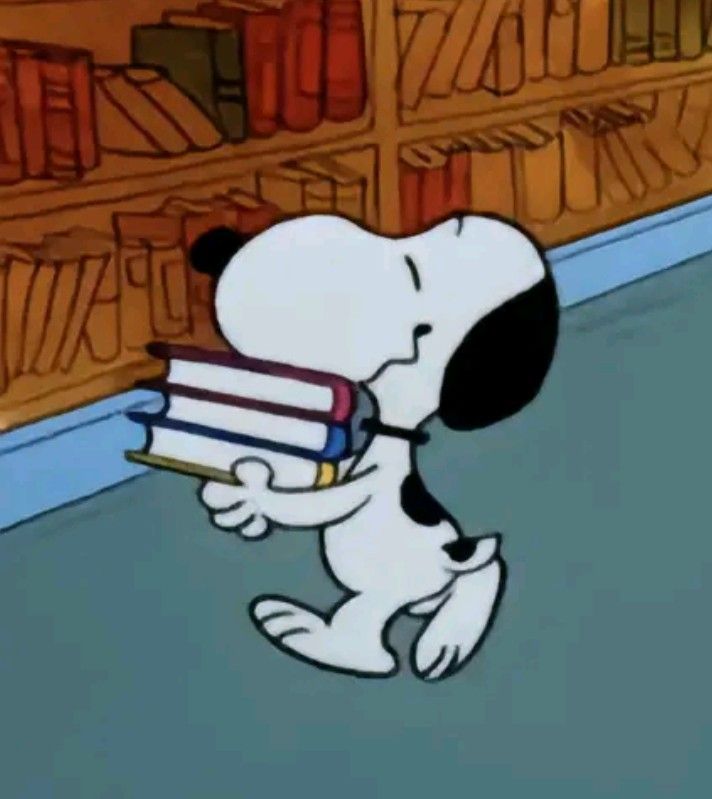 Lectora_gt