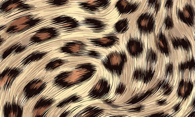 shutterstock 2324029799.jpg
